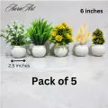 Pack of 3, 5 Artificial Small Plants