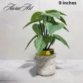 Pack of 3, 5 Artificial Small Plants